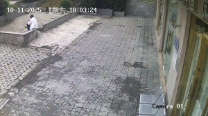Caméra IP - China