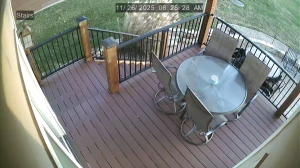 Caméra IP - États-Unis d'Amérique