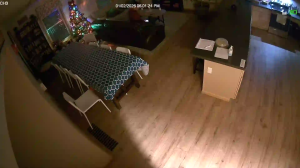 Caméra IP - United States of America