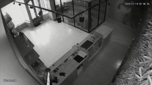 Caméra IP - Vue en direct