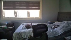 Caméra IP - United States of America