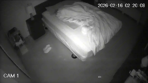 Caméra IP - United States of America