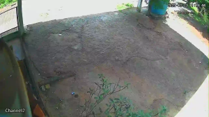 Caméra IP - Paraguay