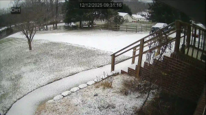 Caméra IP - United States of America