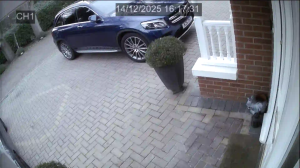 Caméra IP - Regno Unito