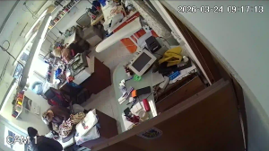 Caméra IP - Croatie