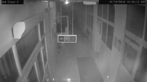 Caméra IP - Égypte