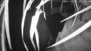 Caméra IP - Autriche