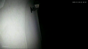 Caméra IP - Émirats Arabes Unis