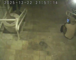 Caméra IP - Brasilien