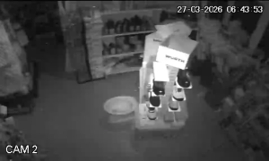 Caméra IP - Macedonia del Norte