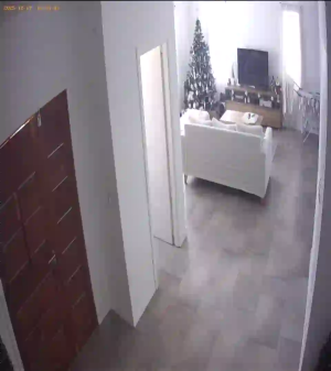 Caméra IP - Argentina