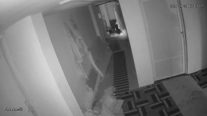 Caméra IP - Saudi Arabia