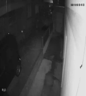 Caméra IP - República de Corea