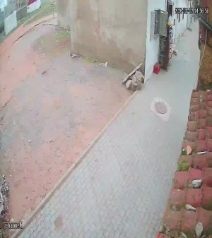 Caméra IP - Morocco