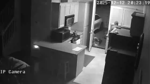 Caméra IP - États-Unis d'Amérique