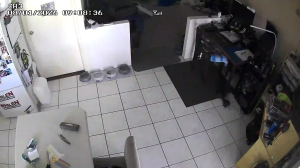 Caméra IP - Australie