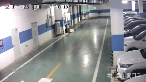 Caméra IP - People's Republic of China