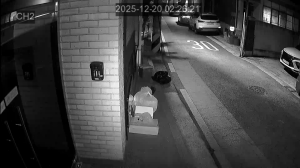 Caméra IP - South Korea