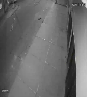 Caméra IP - Colombia