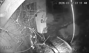 Caméra IP - Romania