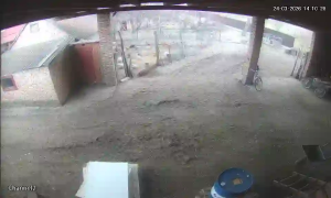 Caméra IP - Ukraine