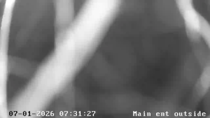 Caméra IP - Irlande