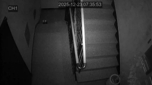 Caméra IP - South Korea