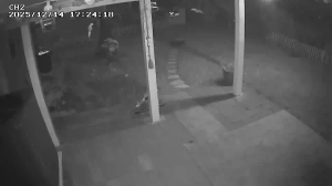 Caméra IP - United States of America