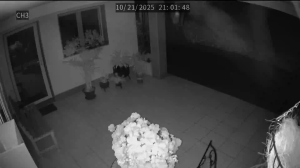 Caméra IP - Portugal