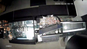 Caméra IP - Russian Federation