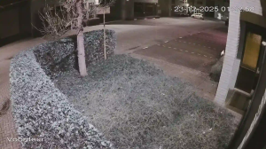 Caméra IP - Países Bajos