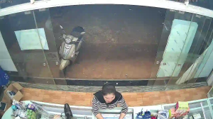 Caméra IP - Vietnam