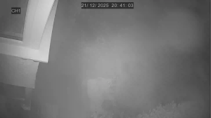 Caméra IP - Royaume-Uni