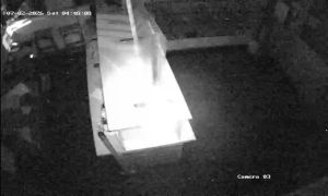 Caméra IP - South Africa