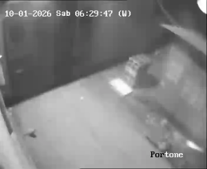 Caméra IP - Italien