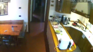 Caméra IP - Stati Uniti d'America