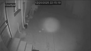 Caméra IP - Südafrika