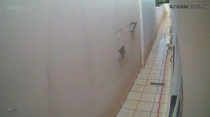 Caméra IP - Brasil