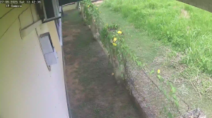 Caméra IP - Suriname