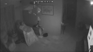 Caméra IP - Vereinigte Staaten von Amerika