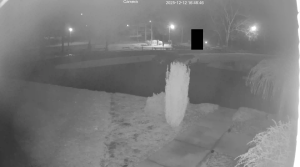 Caméra IP - États-Unis d'Amérique