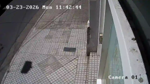 Caméra IP - Argentina