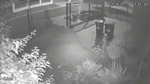 Caméra IP - Sudafrica