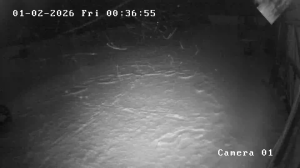 Caméra IP - Lituanie