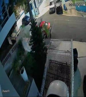 Caméra IP - Puerto Rico