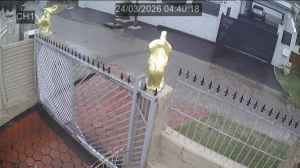 Caméra IP - Sudafrica