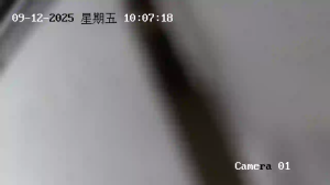 Caméra IP - Cina