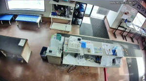 Caméra IP - Giappone