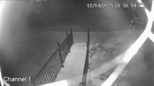 Caméra IP - United States of America